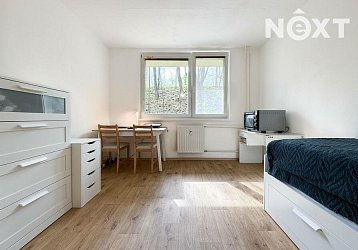 Pronájem bytu 1+kk, 20 m²