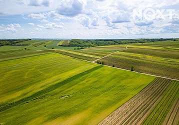 Prodej ostatní Vinný sklep, 42 m²