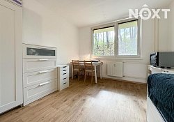 Pronájem bytu 1+kk, 20 m²